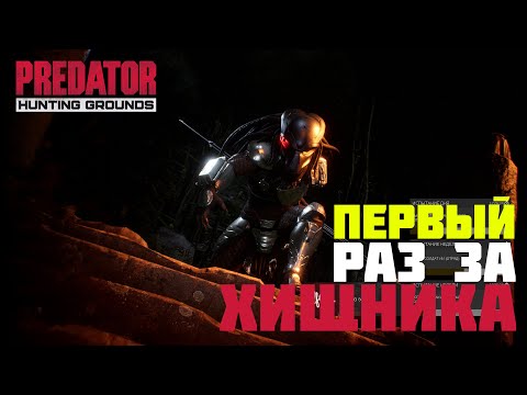 Видео: ХИЩНИК БЕРСЕРК АТАКУЕТ СПЕЦНАЗ | PREDATOR HUNTING GROUNDS