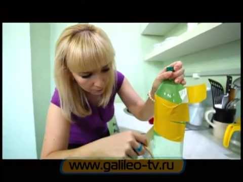 Видео: Галилео. Умные блондинки. Без пылесоса