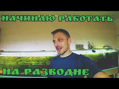 Видео: Вернулся. Приступаем к работе на разводне