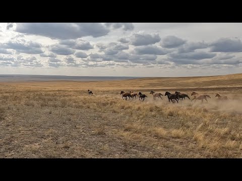 Видео: ҮЙІРДІ ҚАМАЙ АЛМАДЫҚ 