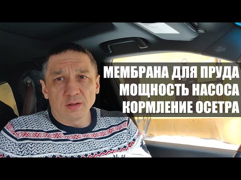 Видео: Выбор мембраны для пруда. Мощность насоса. Кормление осетра природными кормами.