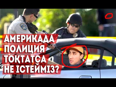 Видео: Америкада полиция тоқтатса не істейміз | Жол жүру ережелері