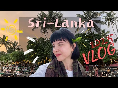 Видео: VLOG/ серфинг на рассвете/ Шри Ланка