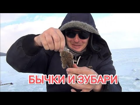 Видео: Зимняя рыбалка в Приморском крае.Зимняя рыбалка во Владивостоке. Ловля наваги.Ловля зубаря