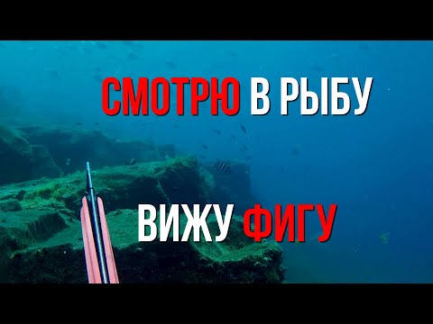 Видео: Чего ждать от подводной охоты на Тенерифе?