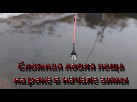 Видео: Сложная ловля леща на реке в начале зимы