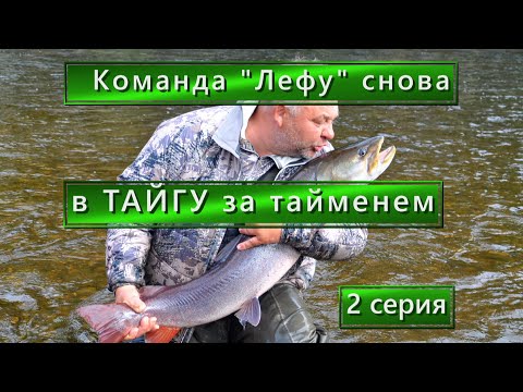 Видео: Кто рыбак? Скромный Серёжа-РЫБАК/ Вова не любил кимчи/ Песни у костра/ Походная жизнь в ТАЙГЕ