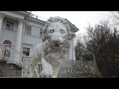 Видео: В Питер жить