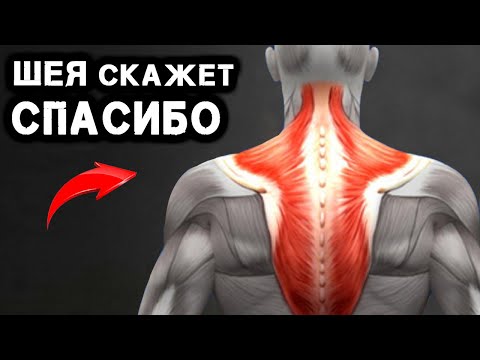 Видео: Если Накачать Шею - вы забудете о дискомфорте