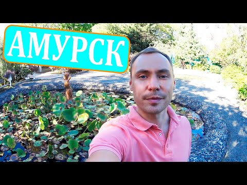 Видео: МИНИ-ПУТЕШЕСТВИЕ В АМУРСК / ДЕНДРАРИЙ / 243