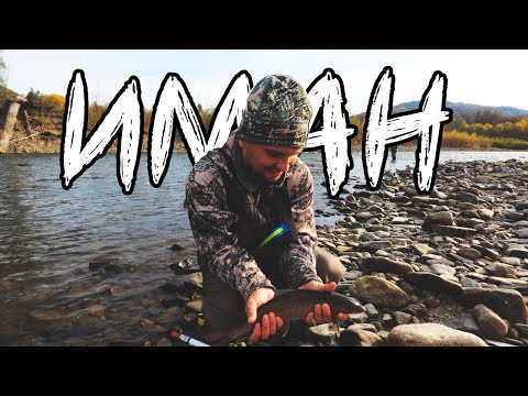 Видео: Ловля Хариуса и Ленка на мушку и швабру. Горная рыбалка. Приморский край.