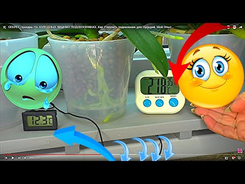 Видео: Я утепляю подоконник для орхидей за 15 минут! ТАЙНЫ Орхидеи НА ХОЛОДНЫХ ЗИМНИХ ПОДОКОННИКАХ.