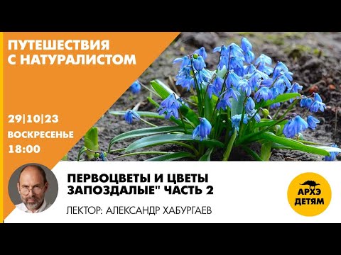 Видео: Детский эфир "Первоцветы и цветы запоздалые -2" // Путешествия с натуралистом // Александр Хабургаев
