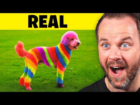 Видео: Реальность или ИИ?