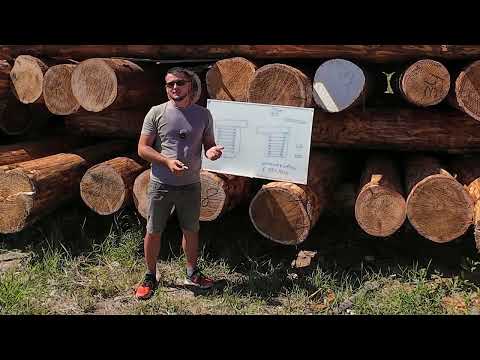 Видео: Как построить качественно из бревна. №1 Различия имитации и забира. #стройка  #wood  #carving