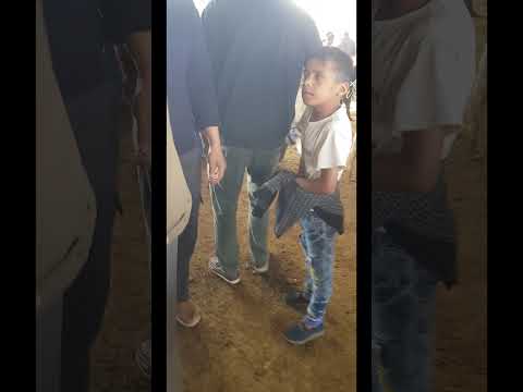 Видео: Чумабозори Вахдат савдо букахо ва моли майда