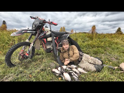 Видео: ОХОТА НА УТКУ С ПОДХОДА. НАСТРЕЛЯЛ КУЧУ ПТИЦЫ НА ЗИМУ. ПОДКРАДЫВАЛСЯ И СТРЕЛЯЛ. Охота на севере.