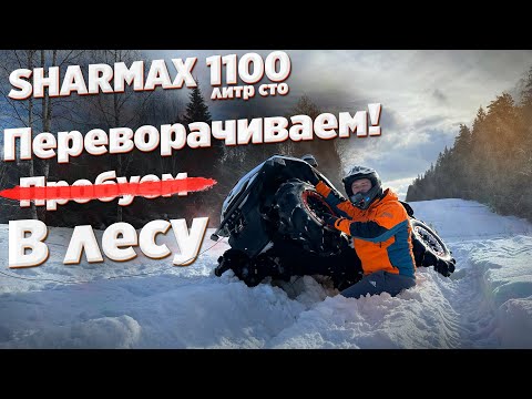 Видео: ЛИТР СТО в офф-роаде. Тест-драйв SHARMAX FORCE 1100 в лесу!