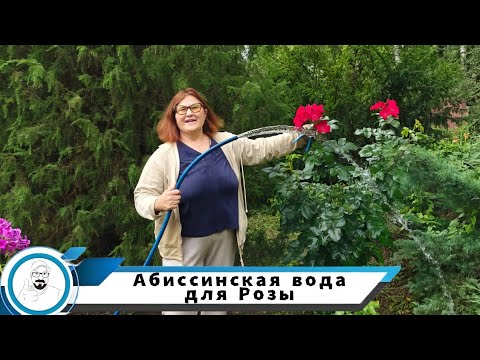 Видео: Вода для Розы // скважина в Домодедовском районе