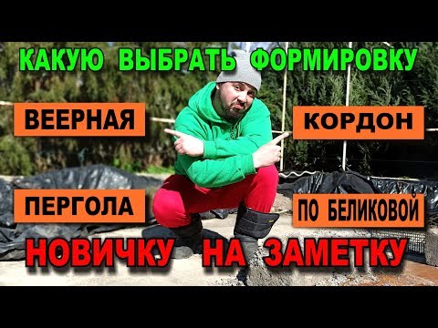 Видео: Какую ФОРМИРОВКУ выбрать для ВИНОГРАДНЫХ кустов НОВИЧКУ на заметку