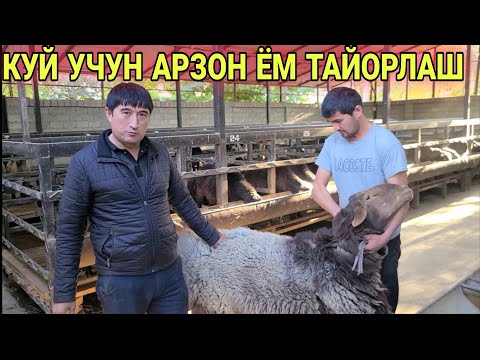 Видео: КУЙ БОКИШ УЧУН АРЗОН ЁМ ТАЙОРЛАШ УСЛУБИ УЙ ШАРОИТИДА