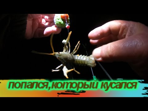 Видео: Рыбалка плохой не бывает/ 5-6 ноября / Маяки / Днестр