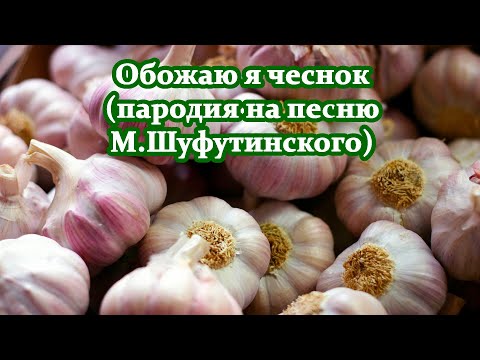 Видео: Обожаю я чеснок (пародия на песню "Обожаю" М. Шуфутинского)