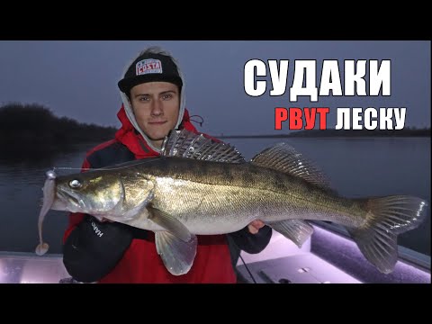 Видео: НАДО ВИДЕТЬ! СУДАКИ Рвут ЛЕСКУ с ПОДСЕЧКИ! Рыбалка на СУДАКА с ДЖИГОМ!!!