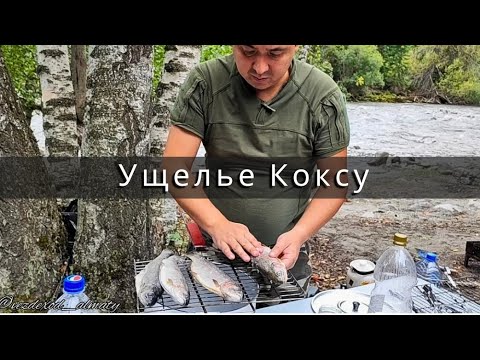 Видео: Ущелье Коксу