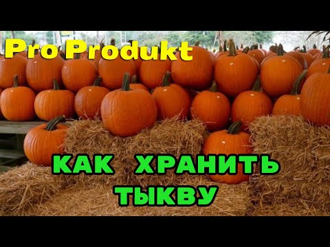 Видео: Как хранить тыкву всю зиму