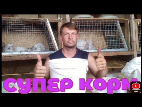 Видео: Кролиководы завидуют моему корму для кроликов.