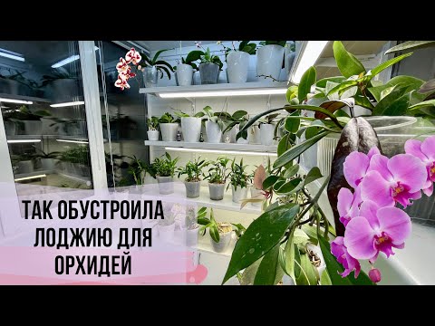 Видео: ЛОДЖИЯ для ОРХИДЕИ❗️ ремонт от А до Я. Вся «кухня» процесса и интересные решения.