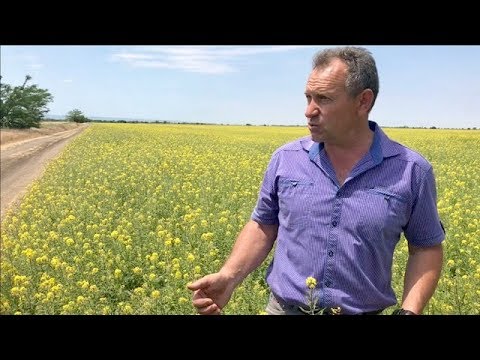 Видео: На полях у Сергея Ревы