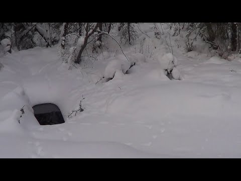 Видео: Охота на Бобра зимой Сезон 21-22 Поводим итог!