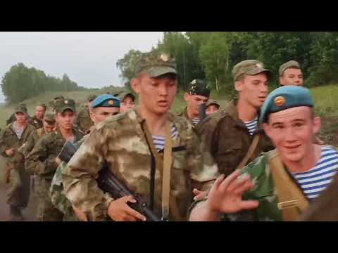 Видео: Полевые 2023