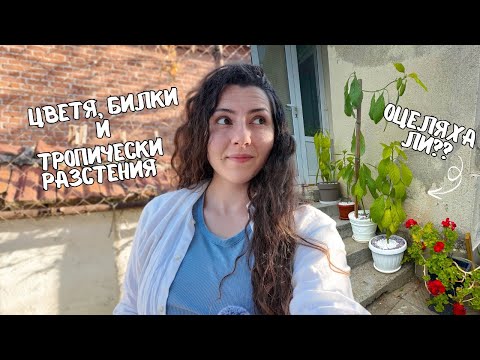 Видео: Как преобразих градината с цветя, билки и екзотични растения