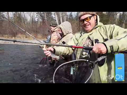 Видео: За крупным хариусом и ленком в Хабаровский край!!!