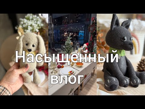Видео: Новые игрушки//Гуляем по ТЦ//Знакомство с питомцем🐶//Готовлю вкусняшки😋