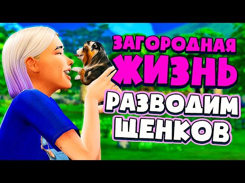 Видео: РАЗВОДИМ ЩЕНКОВ НА ФЕРМЕ! - СИМС 4 - The Sims 4 (Загородная Жизнь)