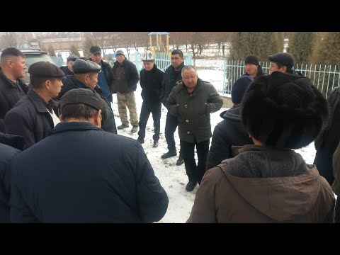 Видео: Аксыда мал уурулук күчөп, эл бийликке талап койду