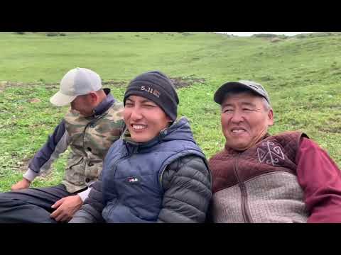 Видео: Ийри-Суу Жайлоосуна барып келдик /Алай/ Арпатектир