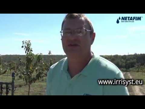 Видео: Капково напояване на овощна градина