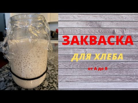 Видео: ЗАКВАСКА ДЛЯ ХЛЕБА от А до Я .Как вырастить пшеничную закваску для хлеба.