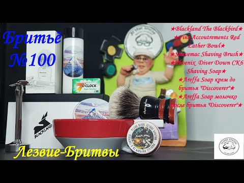 Видео: #бритьё №100 О чём поет ночная птица? Blackland The Blackbird!!!