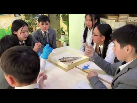 Видео: ачык сабак 2024 жыл мугалими