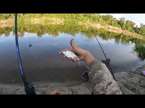 Видео: Рыбалка на Леща р.Десна 2022