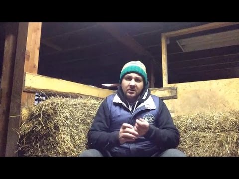 Видео: Канадский фермер  Неделя 9