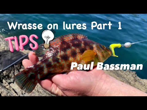 Видео: ЛОВЛЯ ГУБАНА НА ПРИМАНКУ, ЧАСТЬ 1 – ЮГО-ЗАПАДНОЕ ПОБЕРЕЖЬЕ – СЕРИЯ «РЫБАЛКА НА ГУБАНА» – ПОЛ БАССМАН