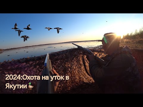 Видео: 1 ЧАСТЬ: ОХОТА НА УТКУ 2024 В ЯКУТИИ