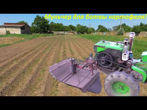 Видео: Уборка ботвы картофеля мотоблоком!